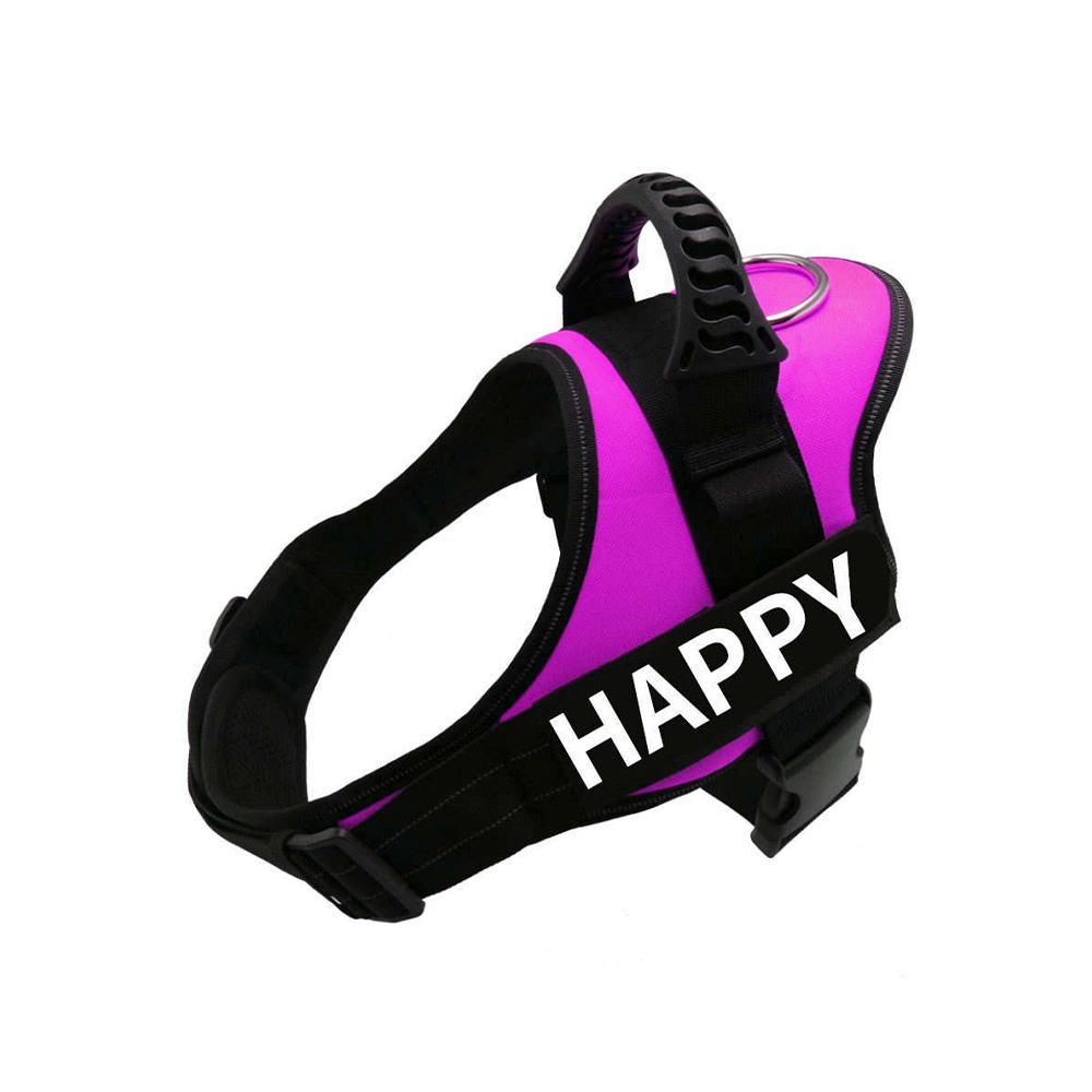 Ninguna correa de perro de nylon sólida reflexiva de la cuerda del arnés del perro del diseñador del tirón