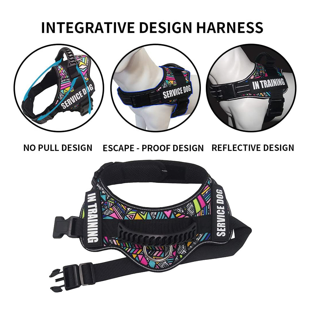 Ninguna correa de perro de nylon sólida reflexiva de la cuerda del arnés del perro del diseñador del tirón