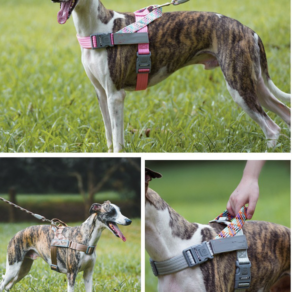 Arnés reflectante para perros con correas de nailon trenzadas desarrolladas