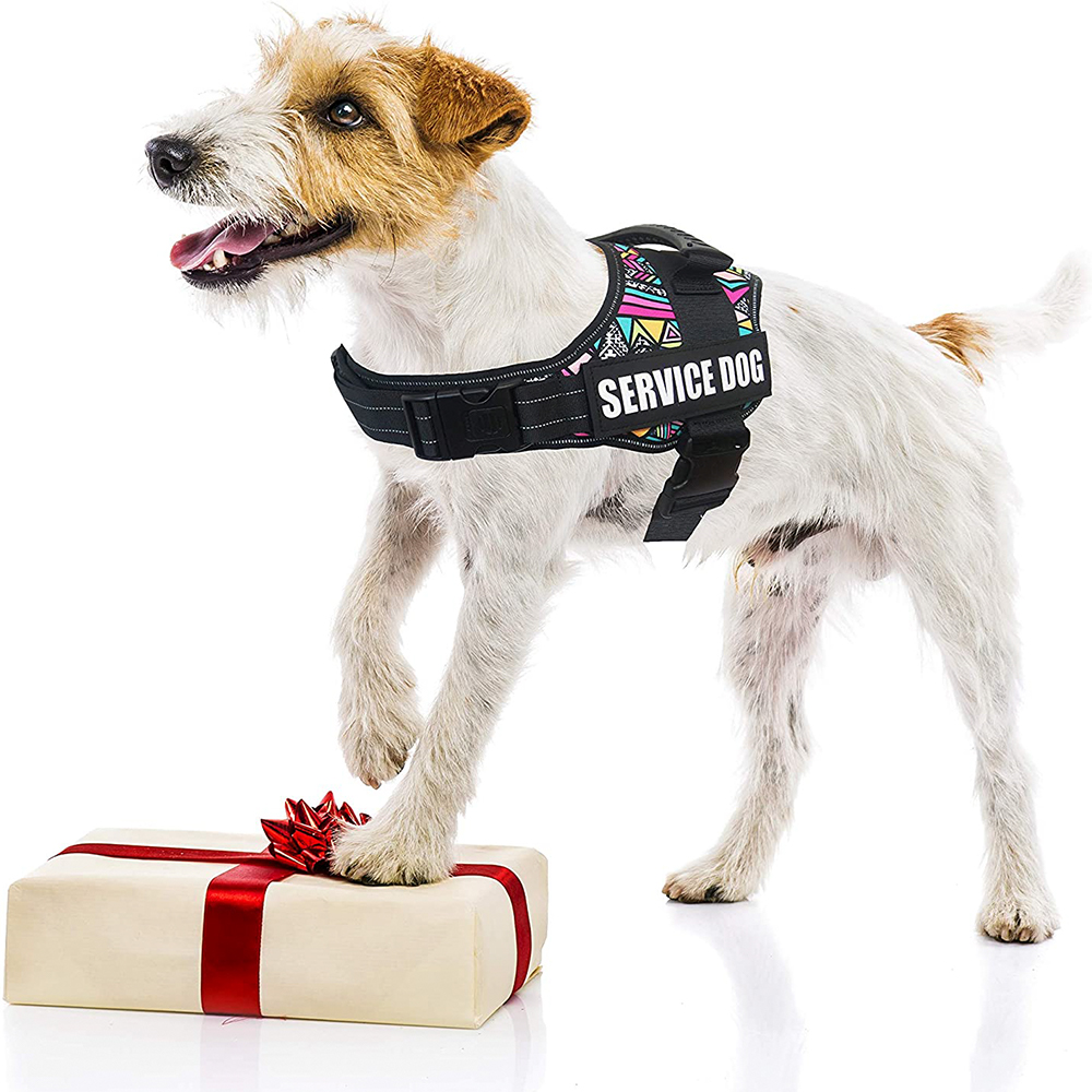 Ninguna correa de perro de nylon sólida reflexiva de la cuerda del arnés del perro del diseñador del tirón