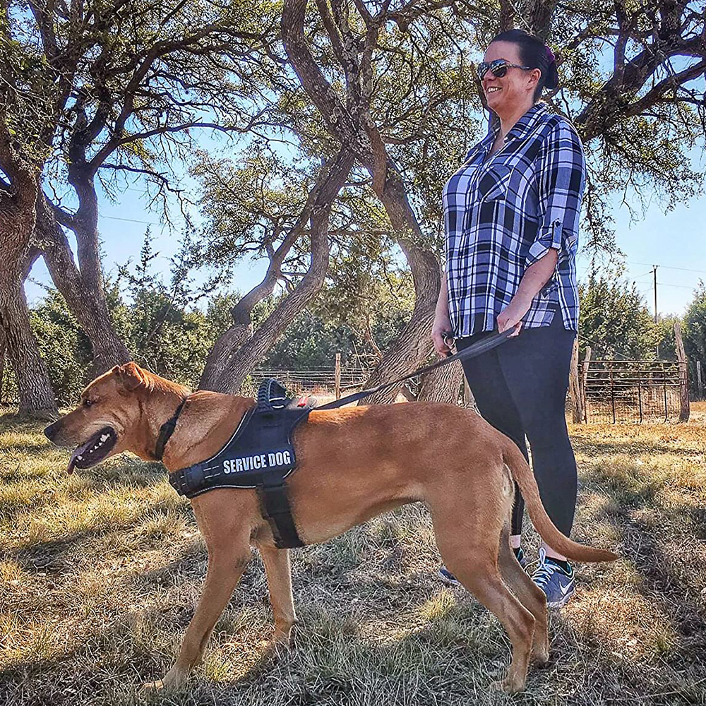 Ninguna correa de perro de nylon sólida reflexiva de la cuerda del arnés del perro del diseñador del tirón