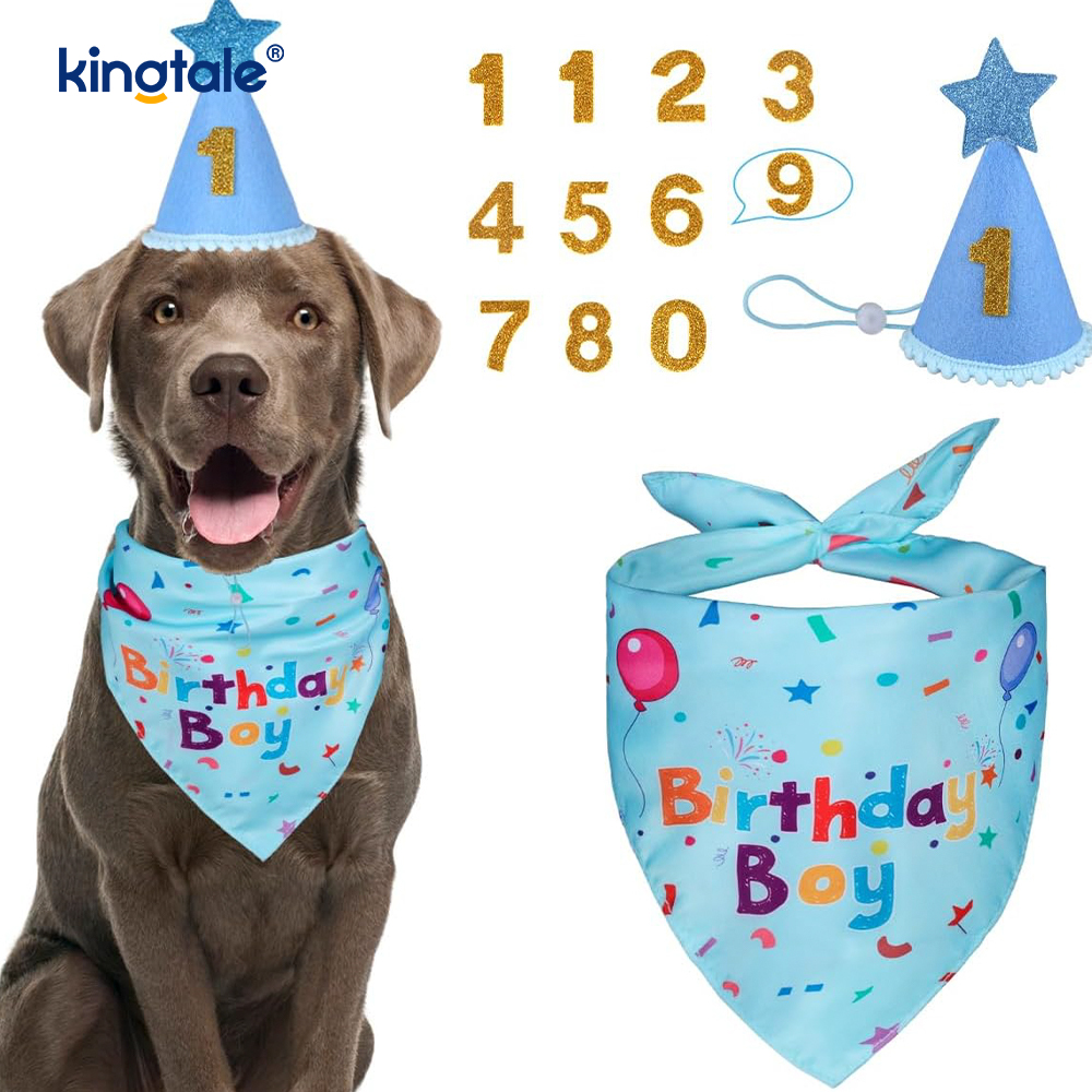 Conjunto de pañuelos de cumpleaños para mascotas