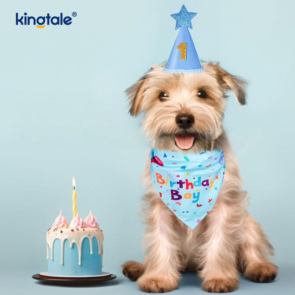 Conjunto de pañuelos de cumpleaños para mascotas