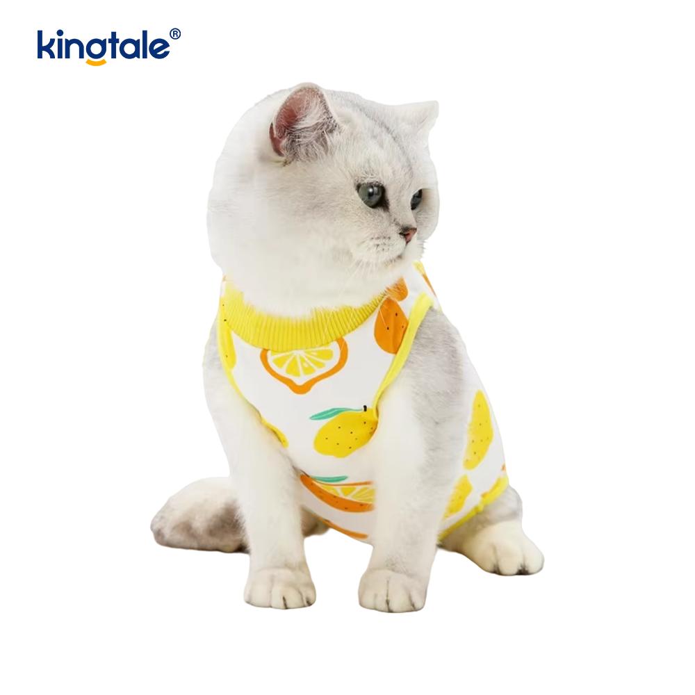 Ropa de recuperación para perros