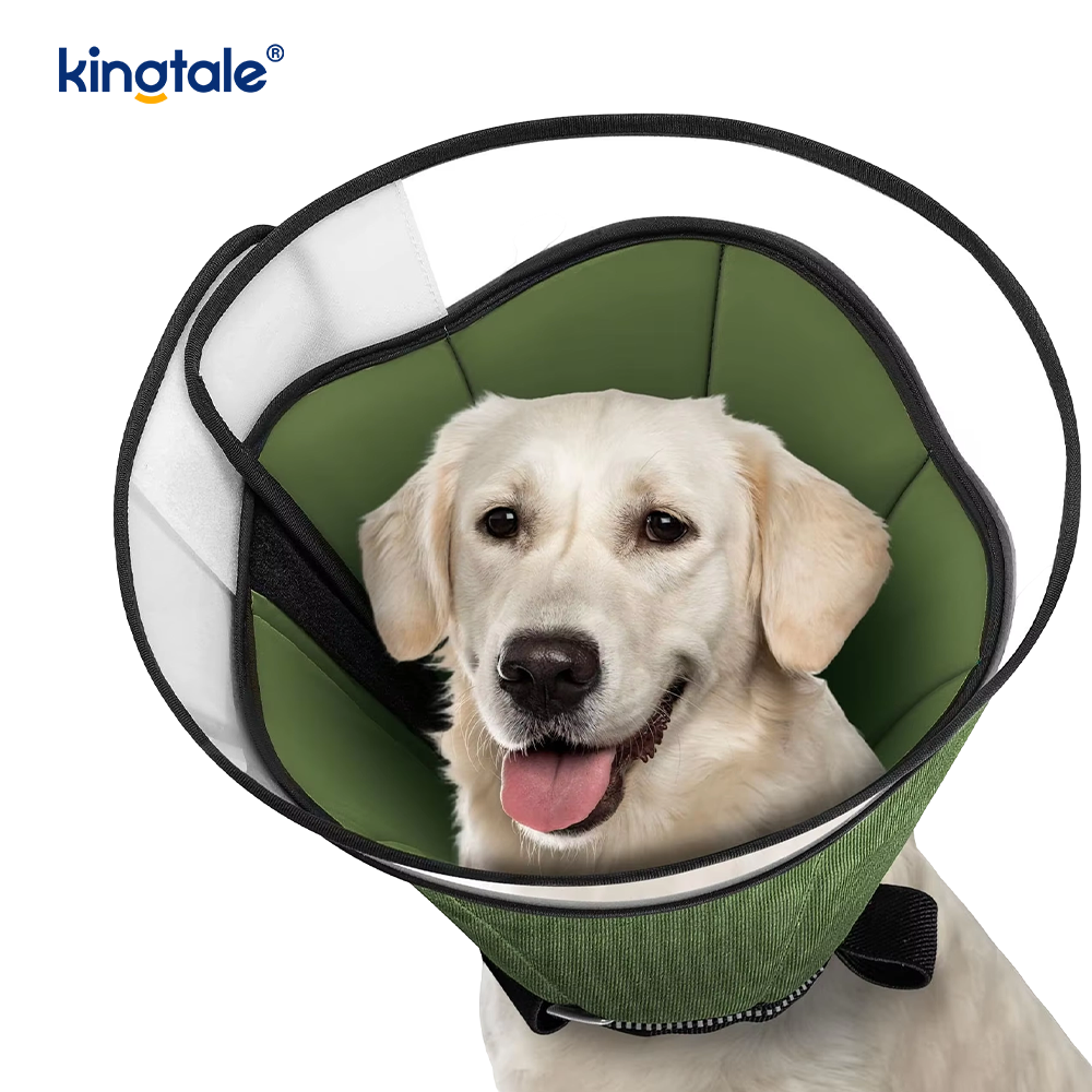 Cono suave para perros después de la cirugía