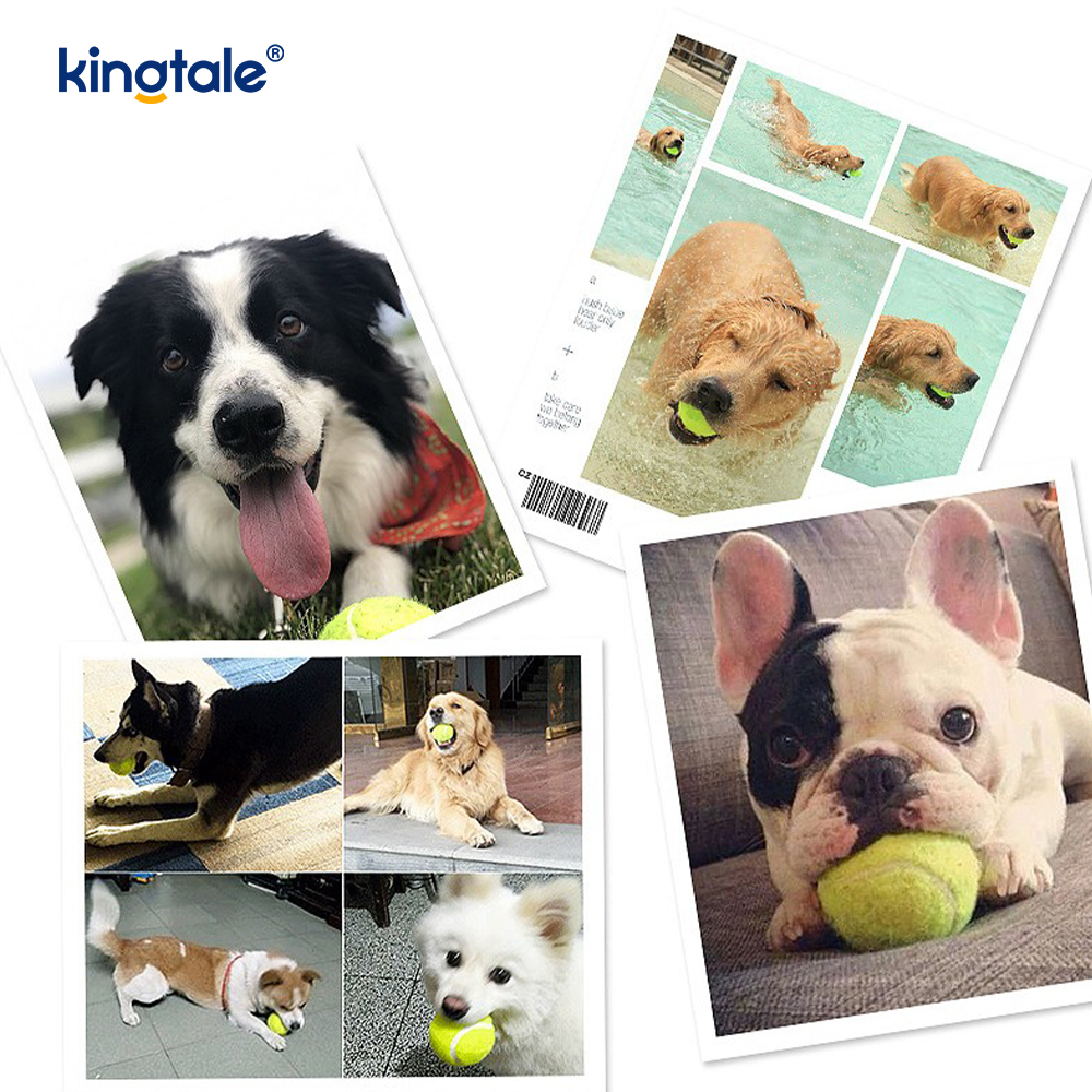 Tenis de juguete para mascotas, duradero y resistente a las mordeduras, para ejercicio interactivo de masticación de mascotas