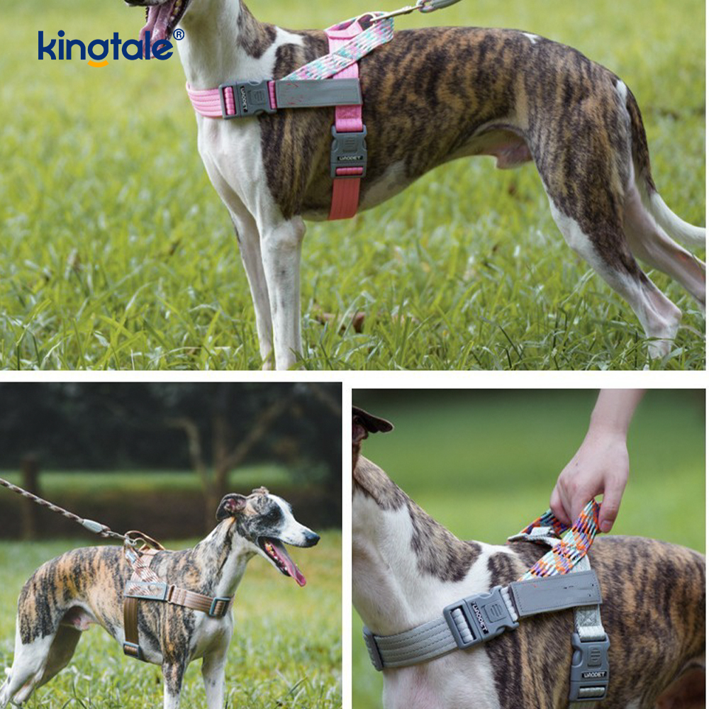 Arnés reflectante para perros con correas de nailon trenzadas desarrolladas