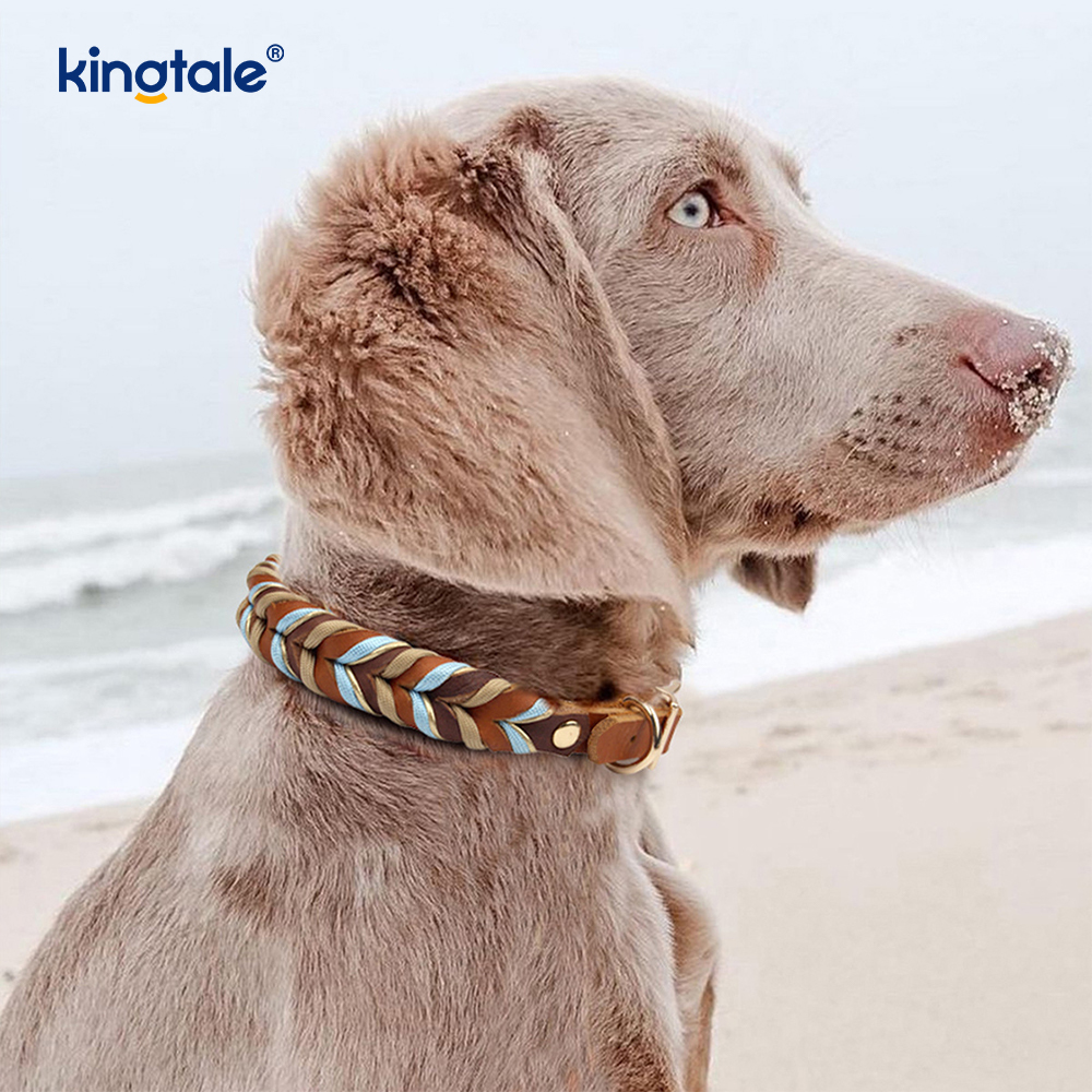 Collares y correas para mascotas de cuero genuino Juego de collar y correa de cuerda para perros