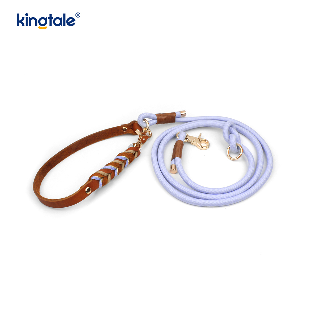 Collares y correas para mascotas de cuero genuino Juego de collar y correa de cuerda para perros