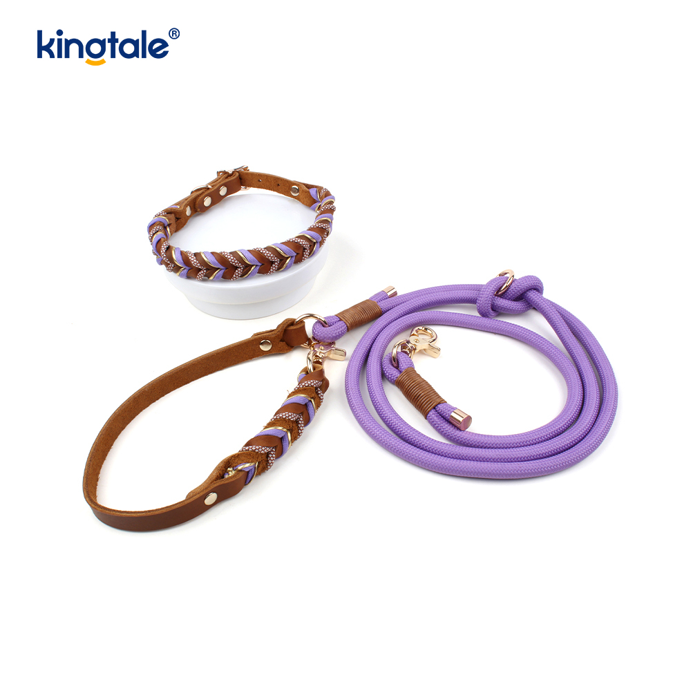 Collares y correas para mascotas de cuero genuino Juego de collar y correa de cuerda para perros