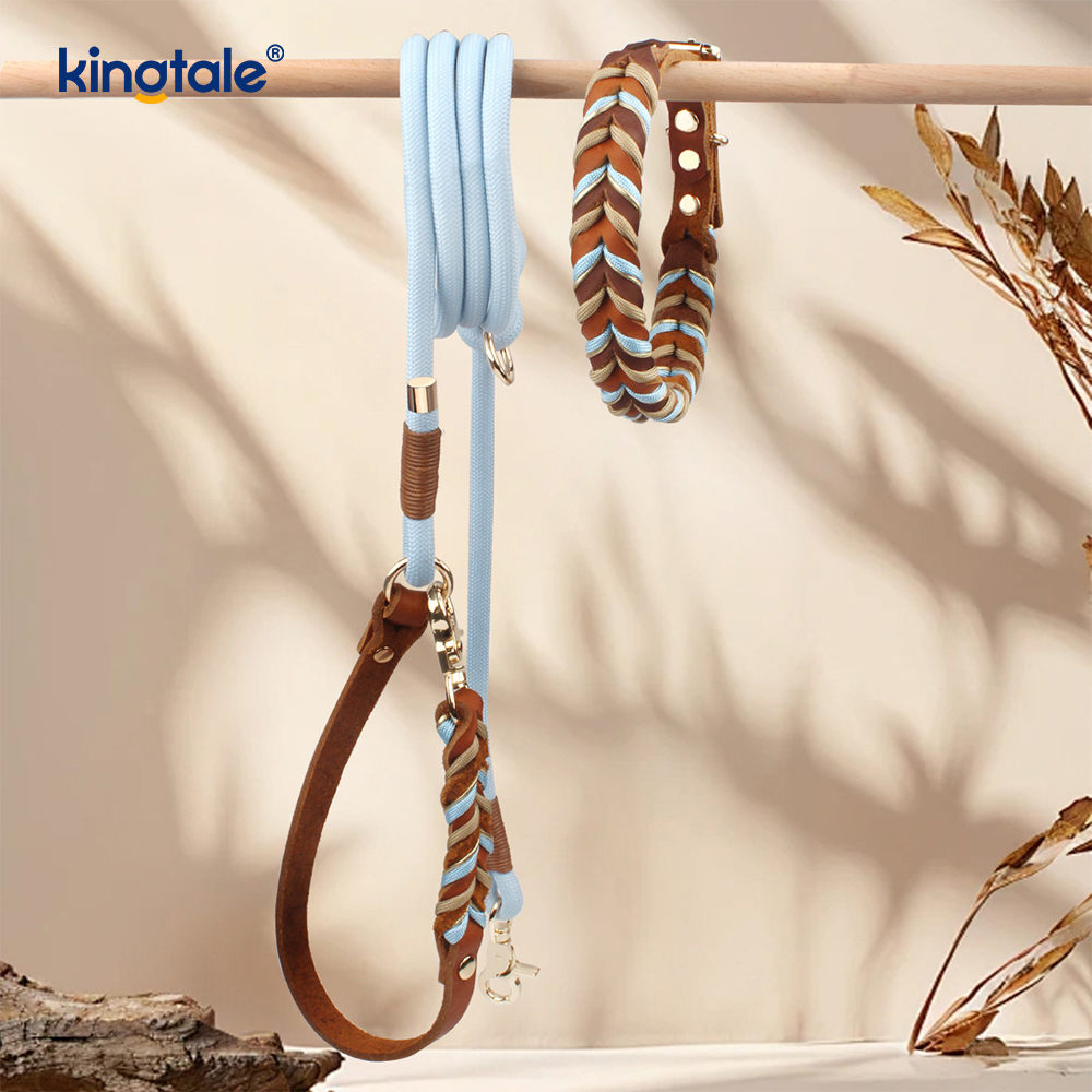 Collares y correas para mascotas de cuero genuino Juego de collar y correa de cuerda para perros