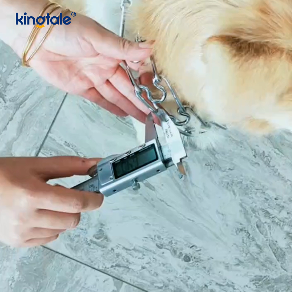 Collar de entrenamiento para perros con punta metálica de acero al carbono, collares de estrangulamiento para mascotas