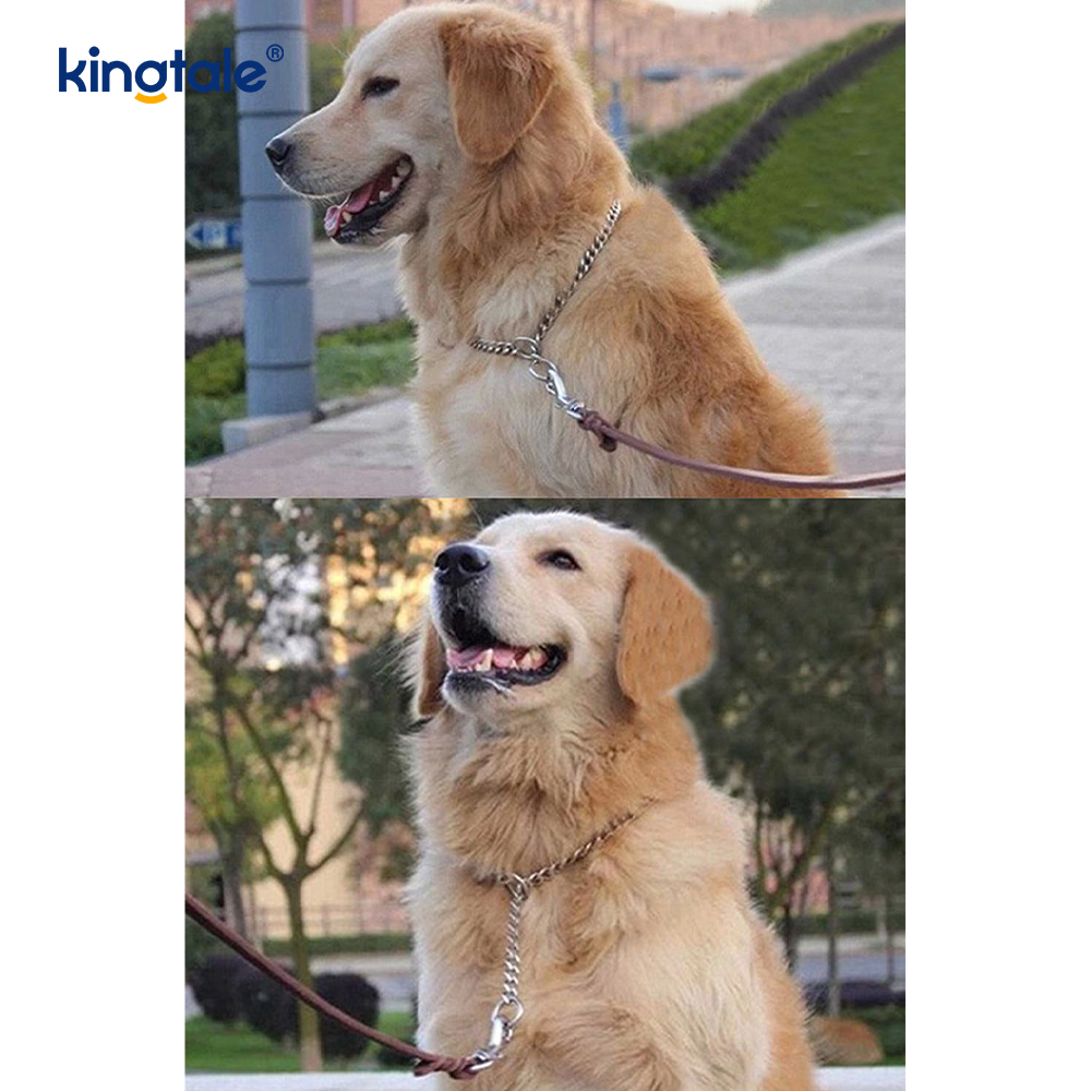 Cadena pesada de la cadena del resbalón P del collar de la obstrucción del perro del entrenamiento del metal para los perros