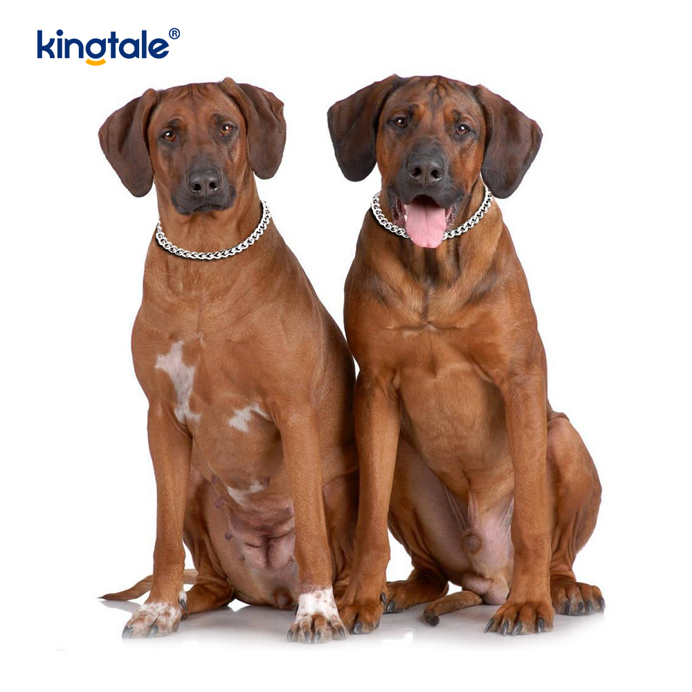 Cadena pesada de la cadena del resbalón P del collar de la obstrucción del perro del entrenamiento del metal para los perros