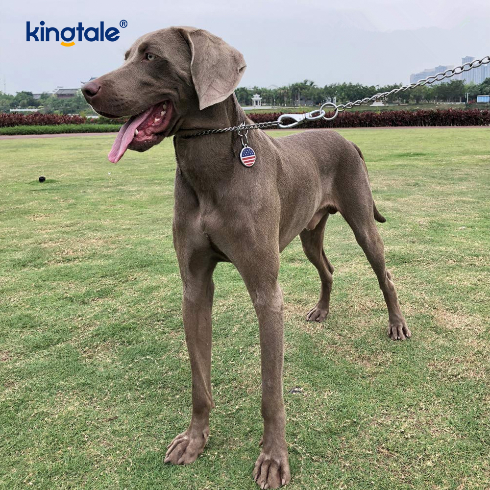 Cadena pesada de la cadena del resbalón P del collar de la obstrucción del perro del entrenamiento del metal para los perros