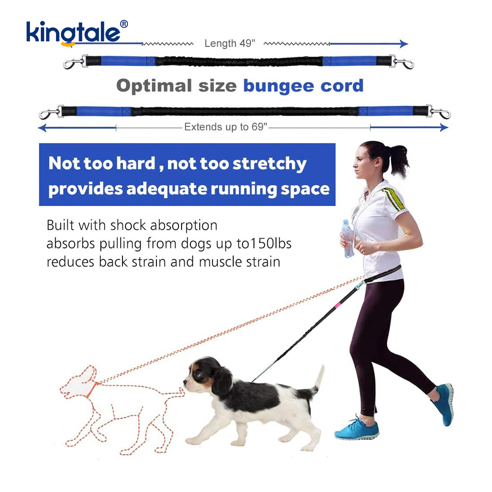 Correa corriente doble elástica reflexiva del animal doméstico con la bolsa de la cremallera