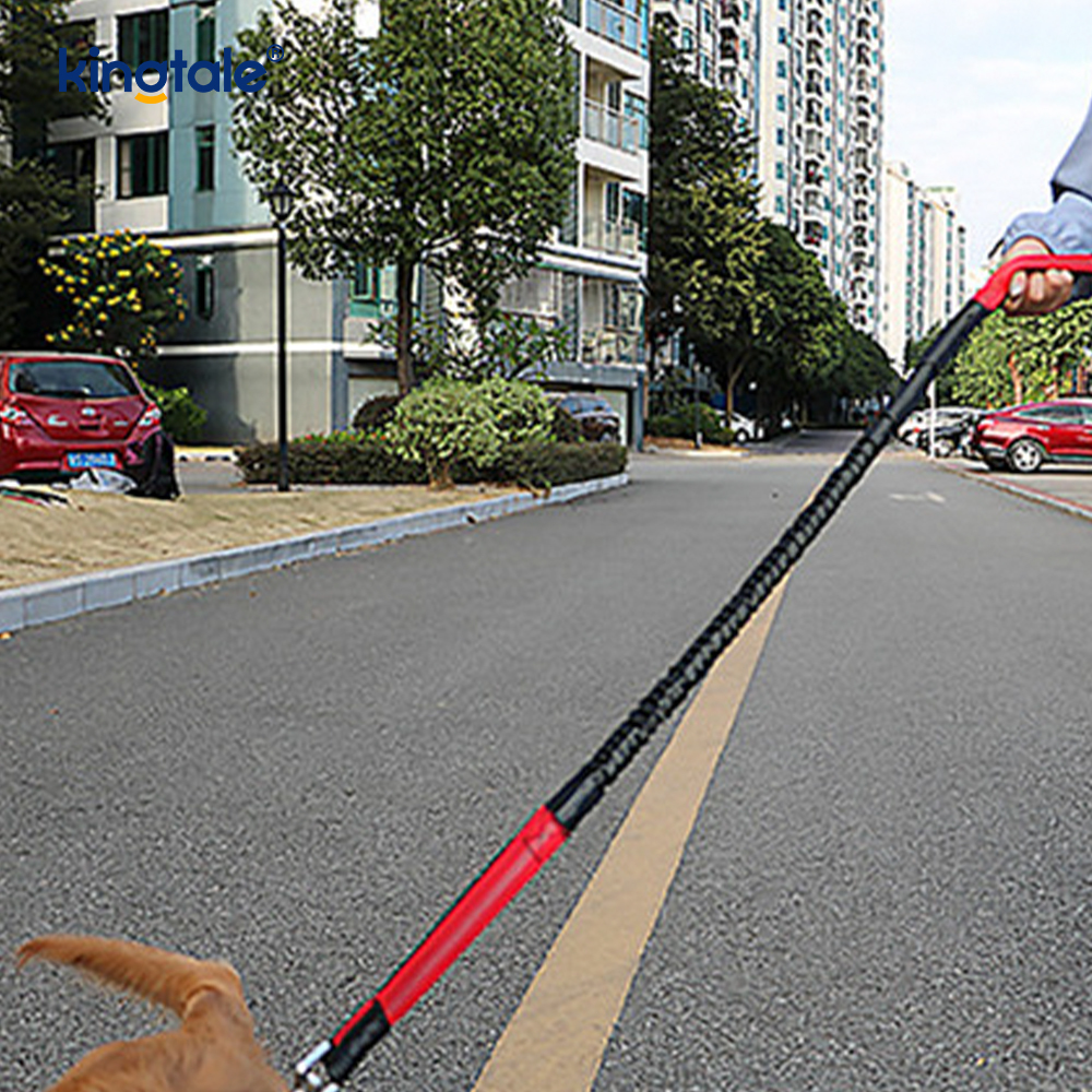 Correa corriente doble elástica reflexiva del animal doméstico con la bolsa de la cremallera