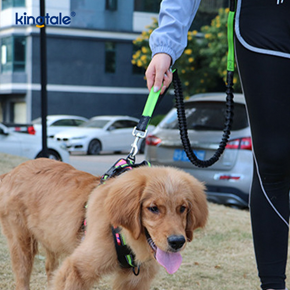 Correa corriente doble elástica reflexiva del animal doméstico con la bolsa de la cremallera