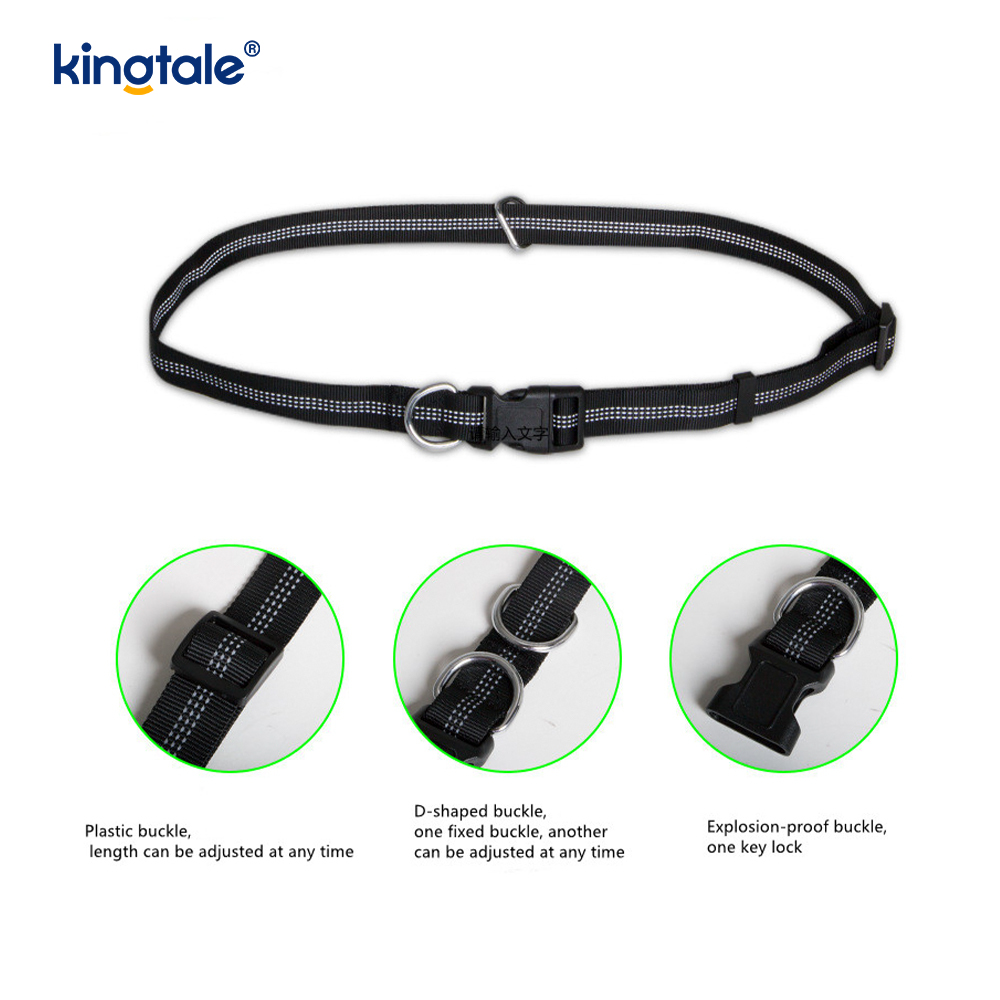 Correa corriente doble elástica reflexiva del animal doméstico con la bolsa de la cremallera