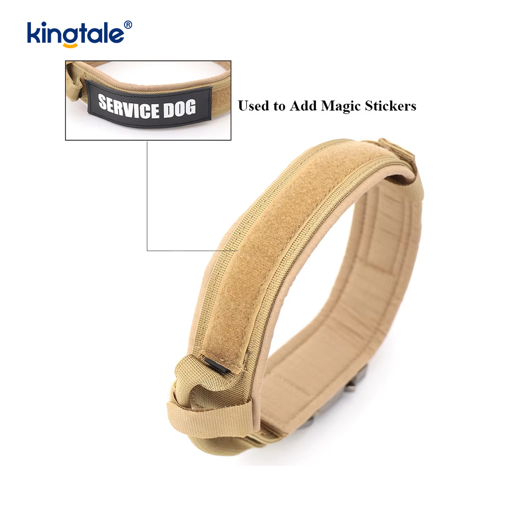 Collar de perro resistente del cinturón de la hebilla del metal Collar de perro resistente