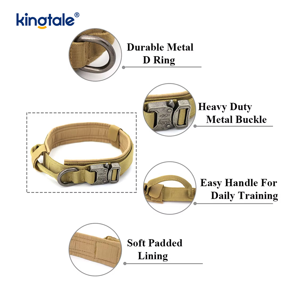 Collar de perro resistente del cinturón de la hebilla del metal Collar de perro resistente