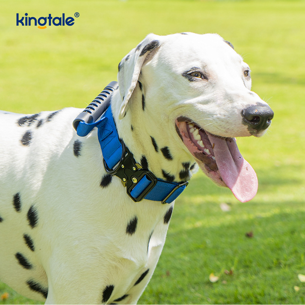 Mango de control de nailon para entrenamiento táctico y collar con hebilla de metal de liberación rápida