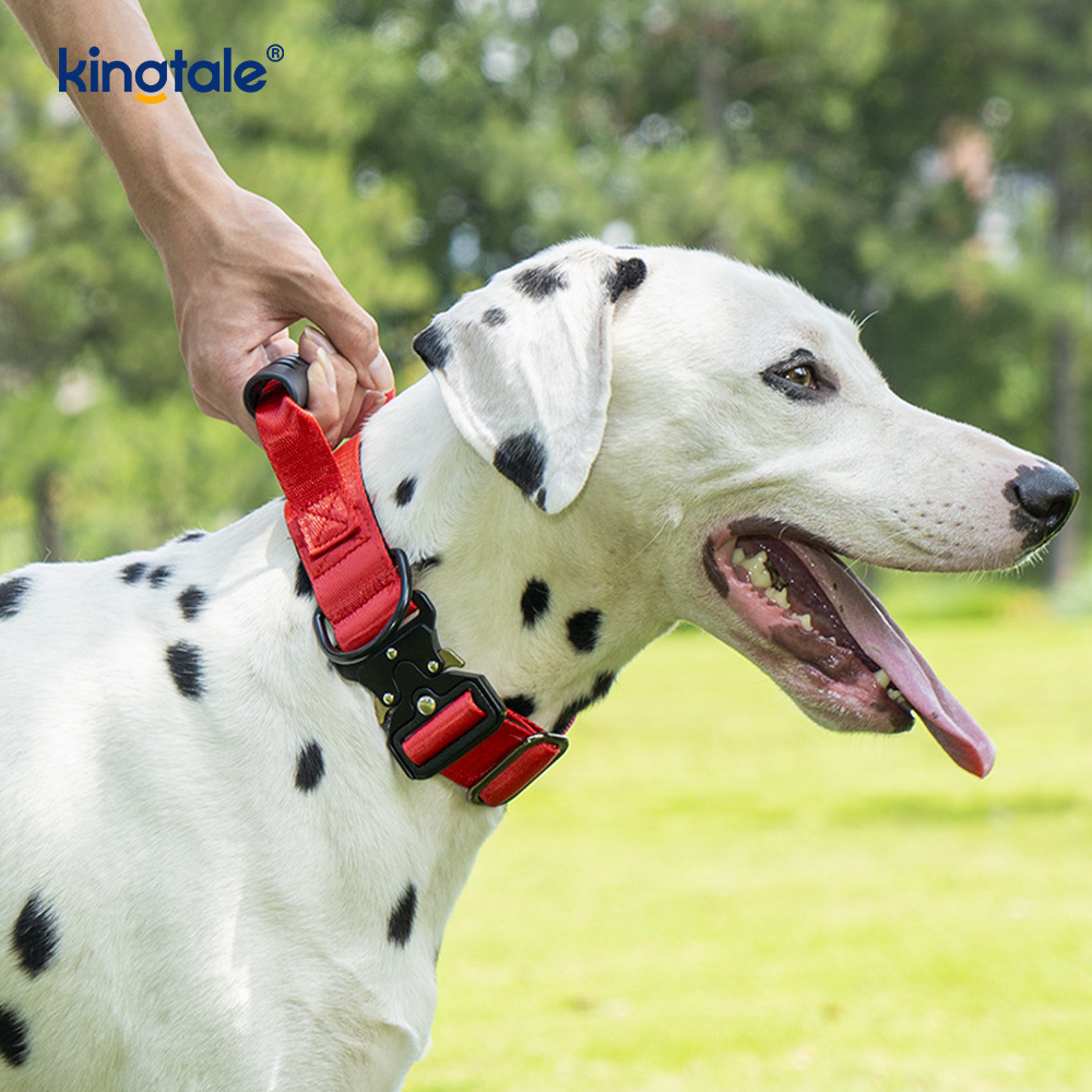 Mango de control de nailon para entrenamiento táctico y collar con hebilla de metal de liberación rápida