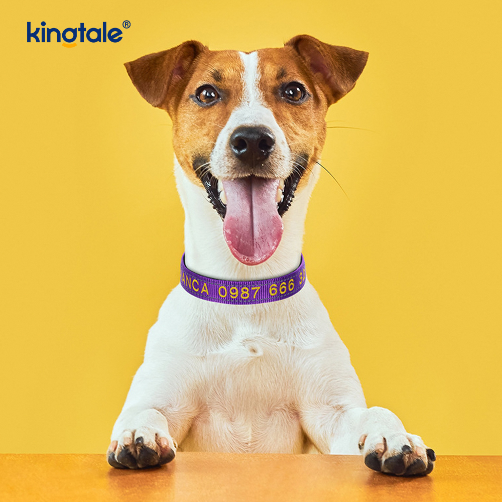 El diseño de hebilla codificada del collar de perro de servicio para prevenir accidentes advierte