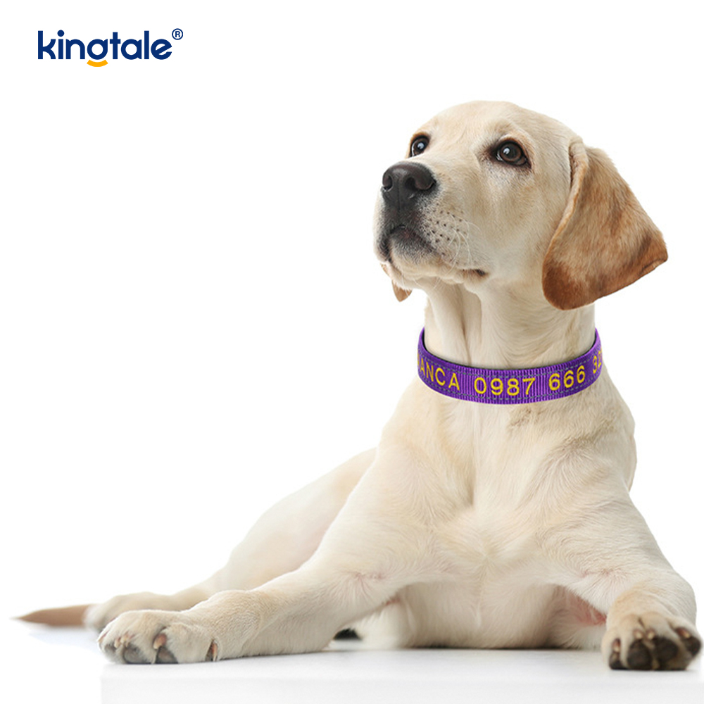 El diseño de hebilla codificada del collar de perro de servicio para prevenir accidentes advierte