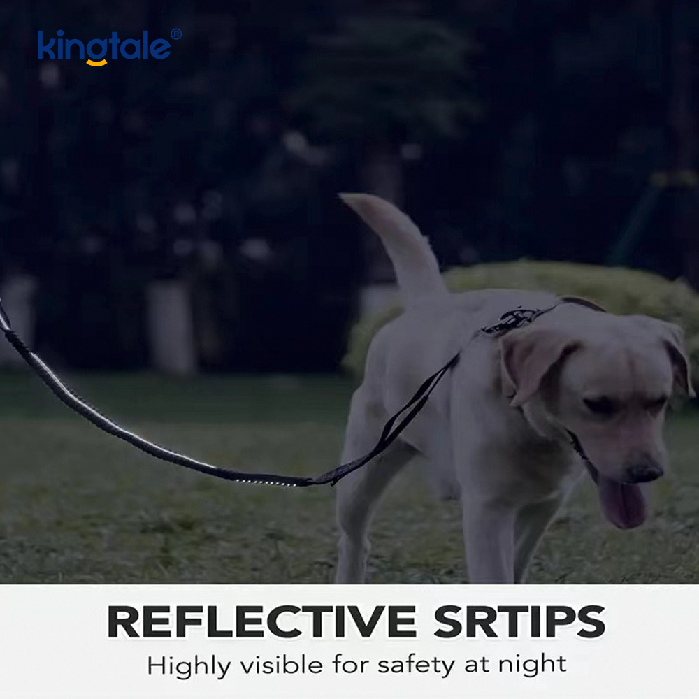 Correa para perros resistente 4 en 1 con cinturón de seguridad para el automóvil y asa acolchada suave