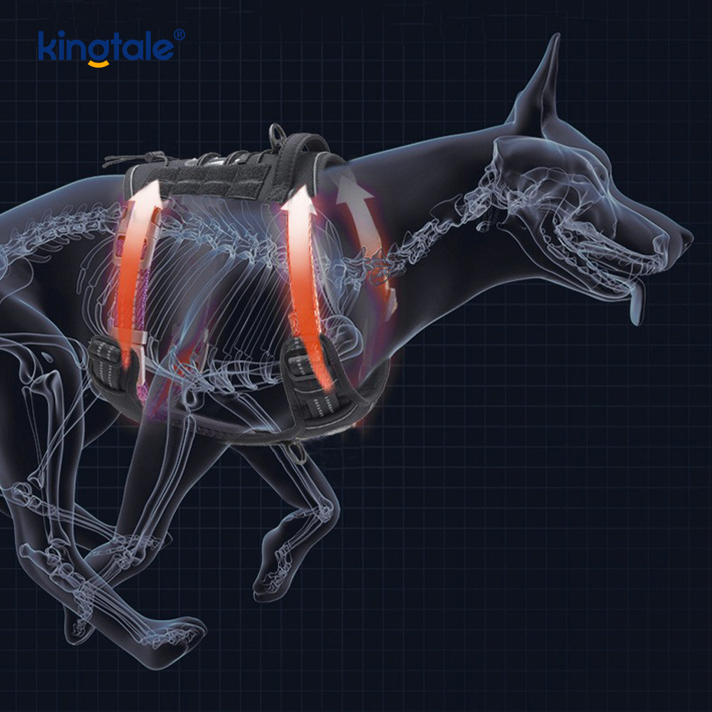 Sólido ningún pecho resistente de nylon de los arneses del entrenamiento del chaleco de la correa del perro del tirón