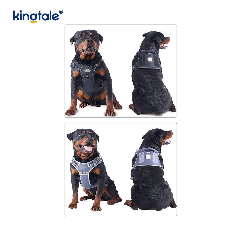 Sólido ningún pecho resistente de nylon de los arneses del entrenamiento del chaleco de la correa del perro del tirón