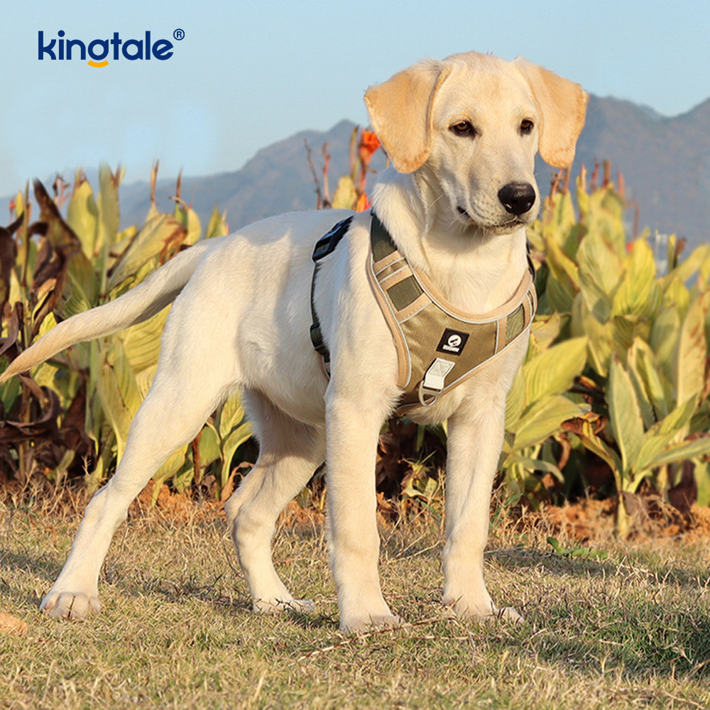 Arnés del animal doméstico del perro del deporte respirable ajustable reflexivo del remache de nylon