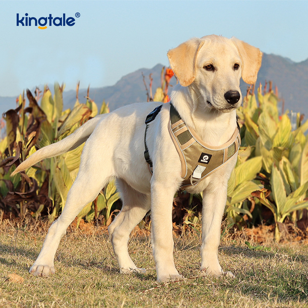 Arnés del animal doméstico del perro del deporte respirable ajustable reflexivo del remache de nylon