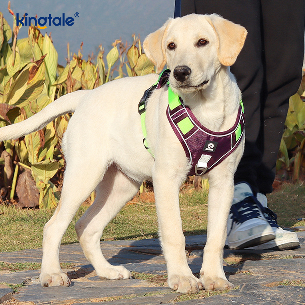 Arnés del animal doméstico del perro del deporte respirable ajustable reflexivo del remache de nylon