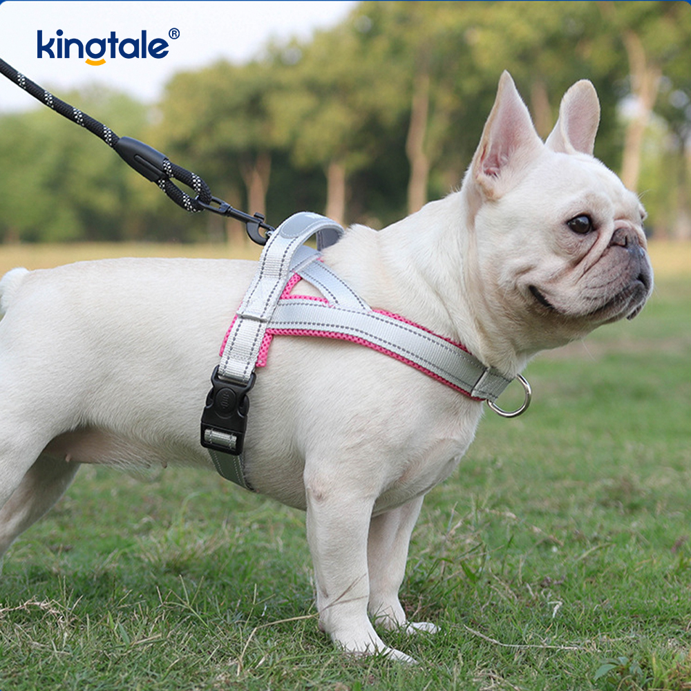 Arnés reflectante de nailon ajustable para perros, venta al por mayor personalizado, menos conjunto