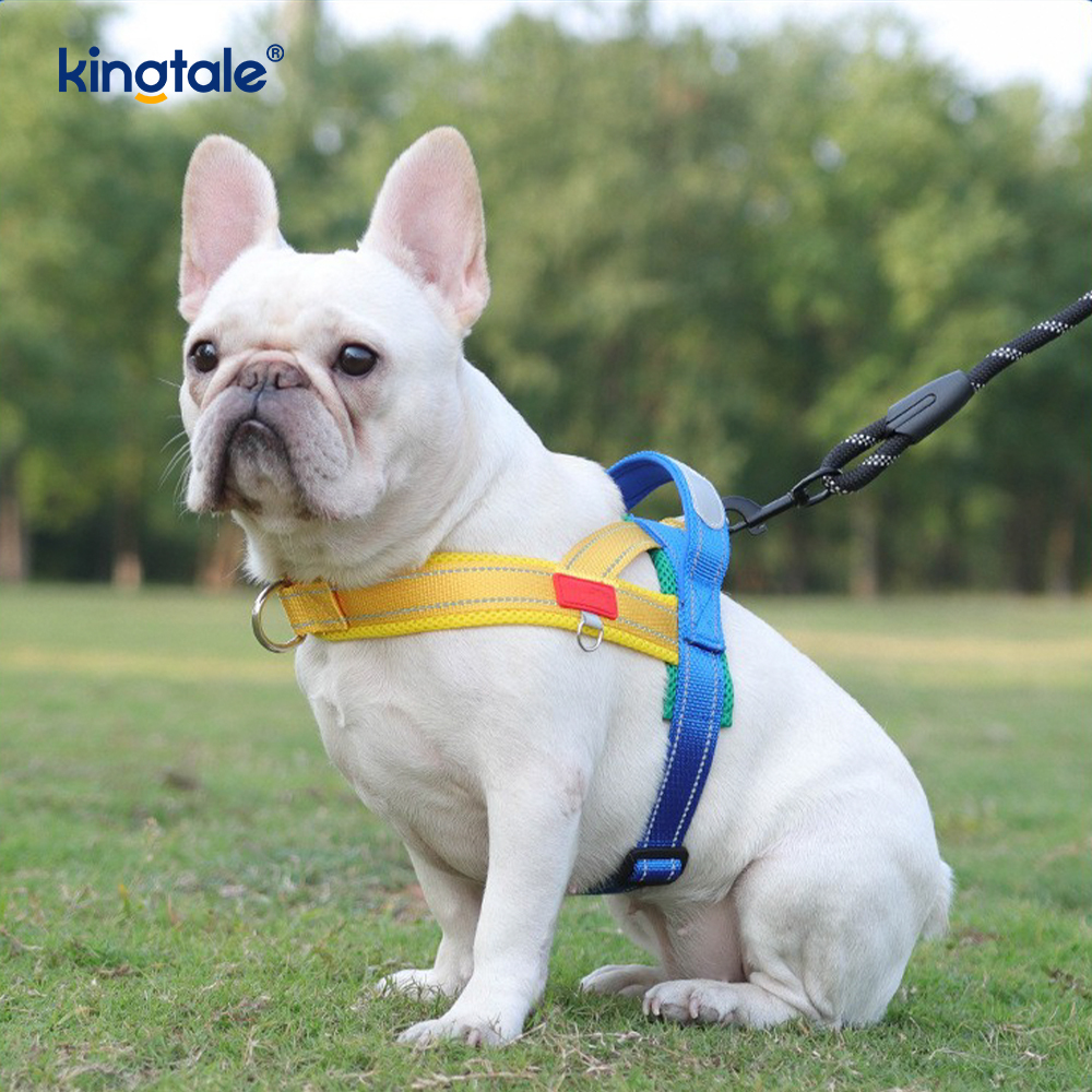 Arnés reflectante de nailon ajustable para perros, venta al por mayor personalizado, menos conjunto