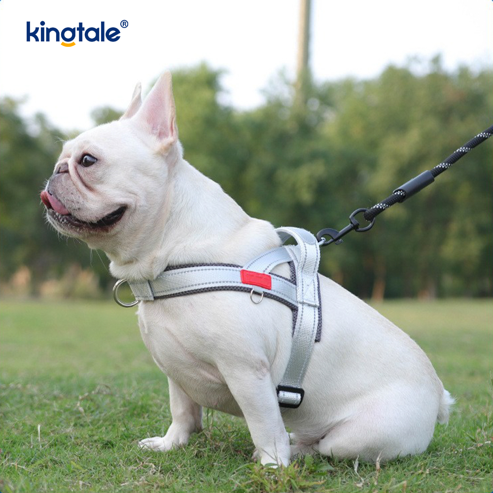 Arnés reflectante de nailon ajustable para perros, venta al por mayor personalizado, menos conjunto