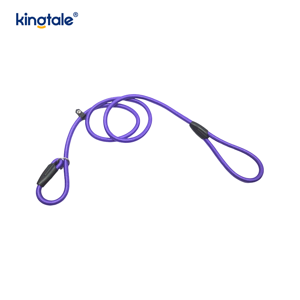 Correa de perro con plomo antideslizante, correa de nailon resistente para entrenamiento de perros, correa para mascotas