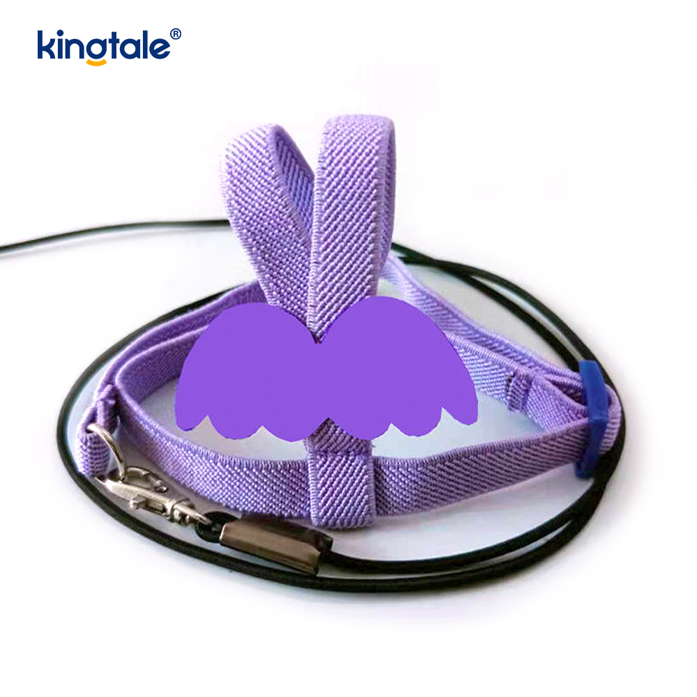 Juego de arnés y correa para loro de peonía de cuerda voladora ajustable personalizado