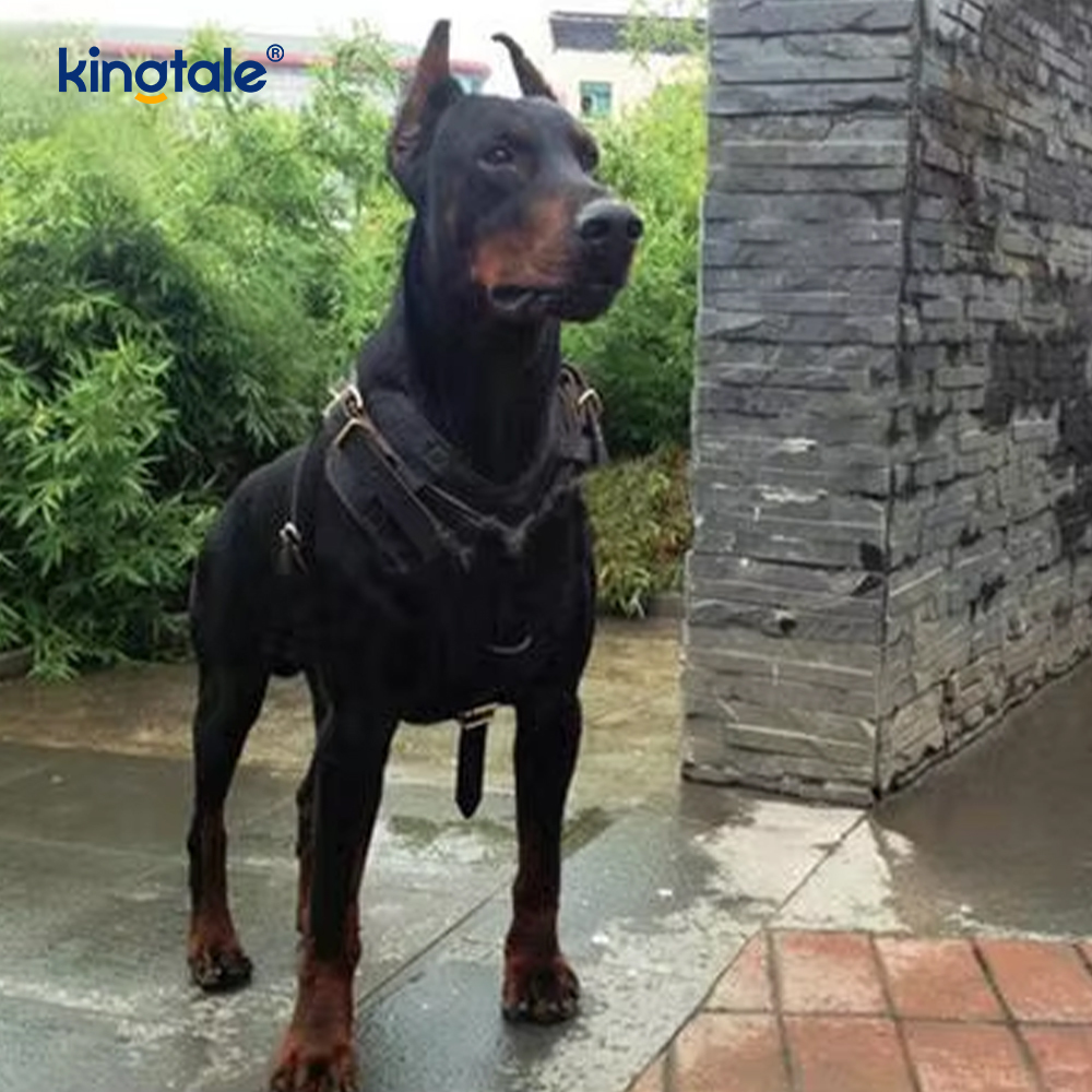 Arnés de cuero para perros ensanchado y engrosado de cuero de vaca negro