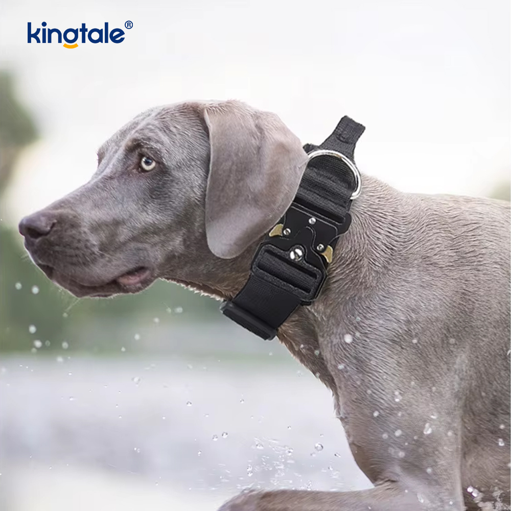 Sistema táctico resistente del arnés del correo del collar de perro para perros grandes