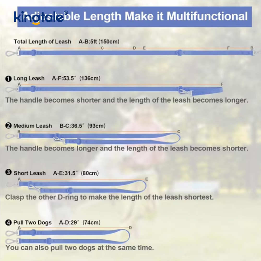 Collar impermeable ligero de moda personalizado del correo del arnés del perro del Pvc