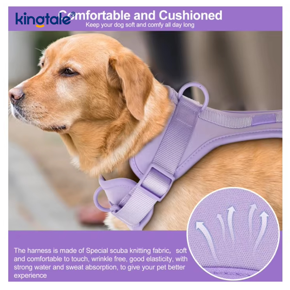 Collar impermeable ligero de moda personalizado del correo del arnés del perro del Pvc