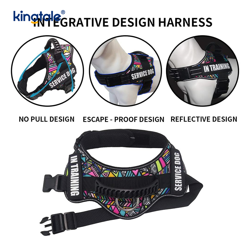 Ninguna correa de perro de nylon sólida reflexiva de la cuerda del arnés del perro del diseñador del tirón