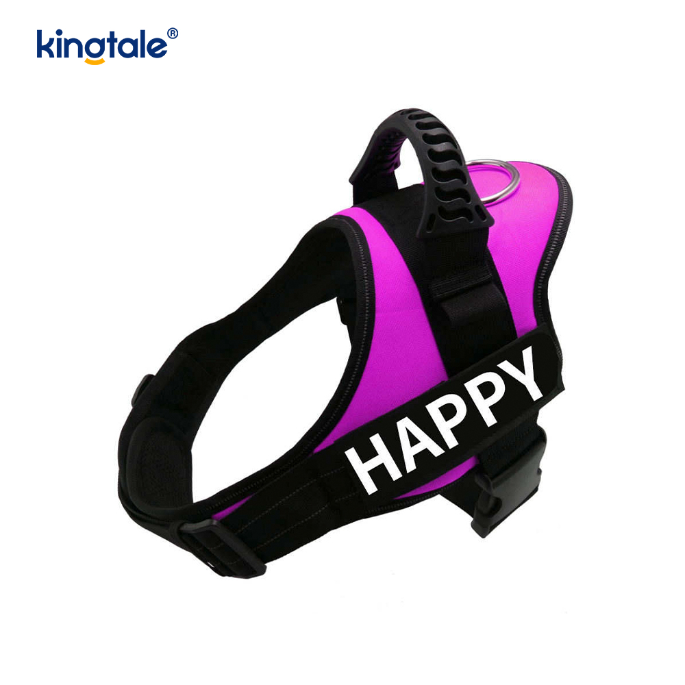 Ninguna correa de perro de nylon sólida reflexiva de la cuerda del arnés del perro del diseñador del tirón