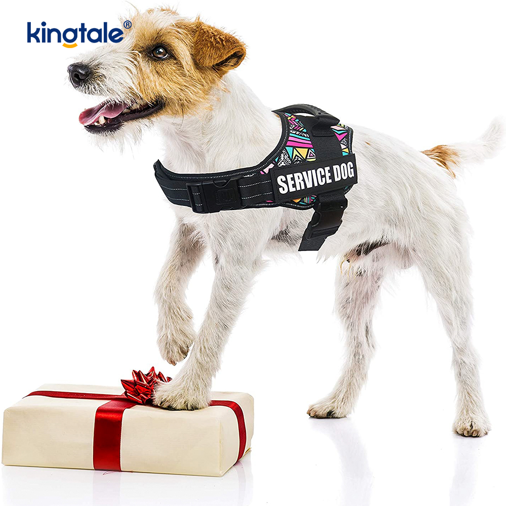 Ninguna correa de perro de nylon sólida reflexiva de la cuerda del arnés del perro del diseñador del tirón