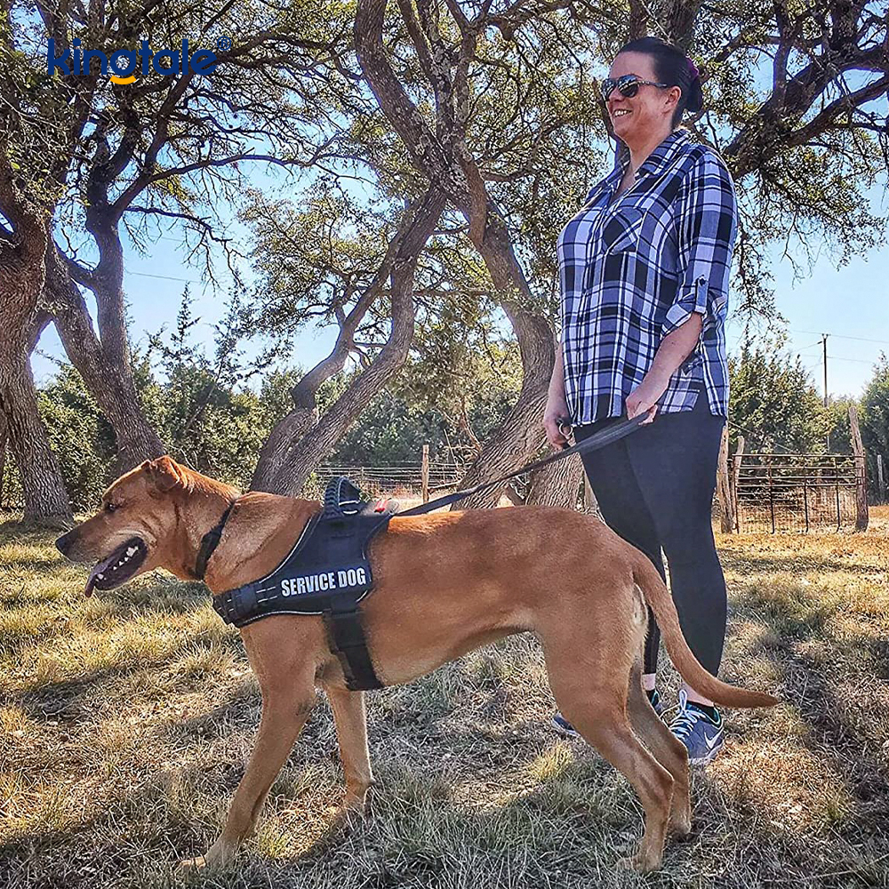 Ninguna correa de perro de nylon sólida reflexiva de la cuerda del arnés del perro del diseñador del tirón