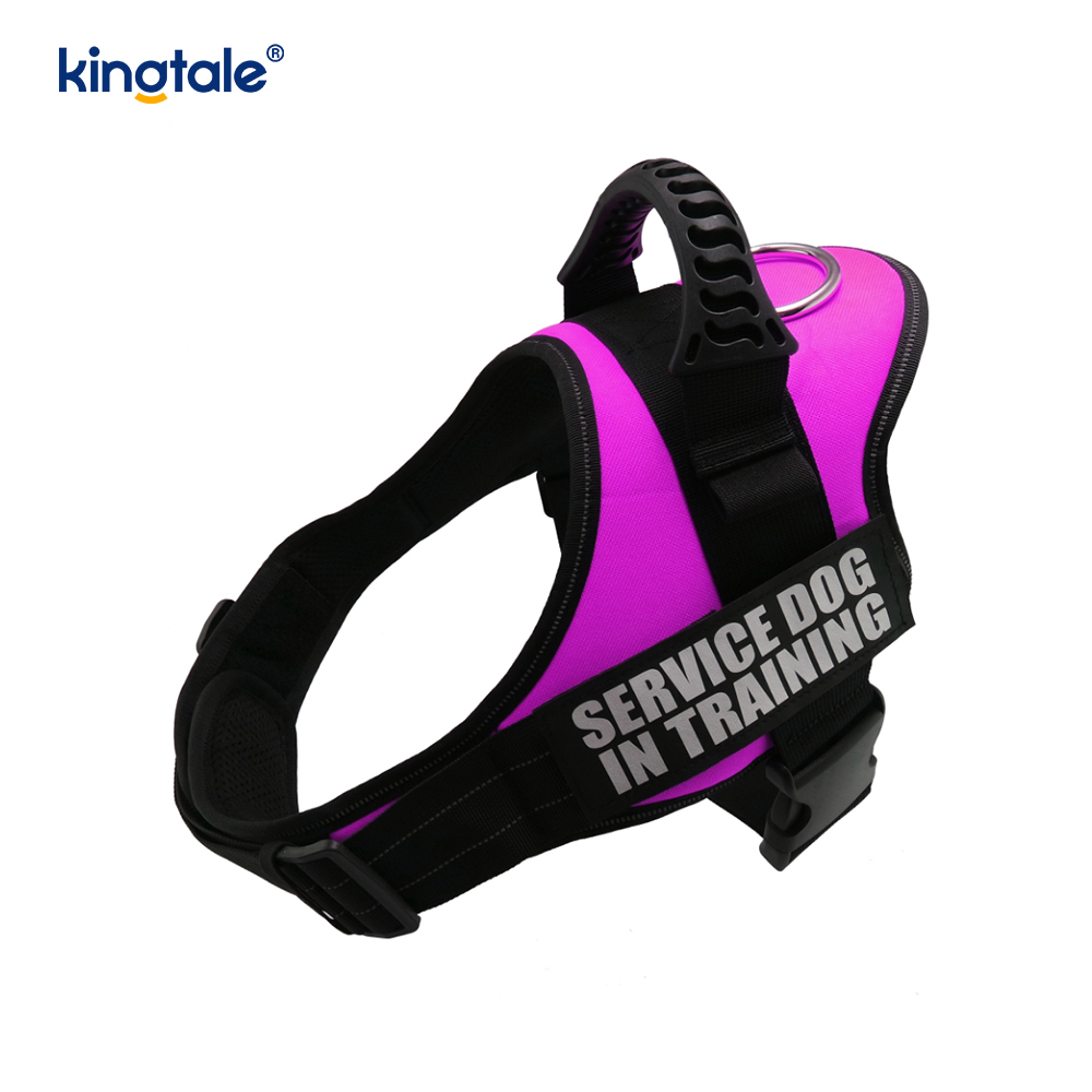 Ninguna correa de perro de nylon sólida reflexiva de la cuerda del arnés del perro del diseñador del tirón