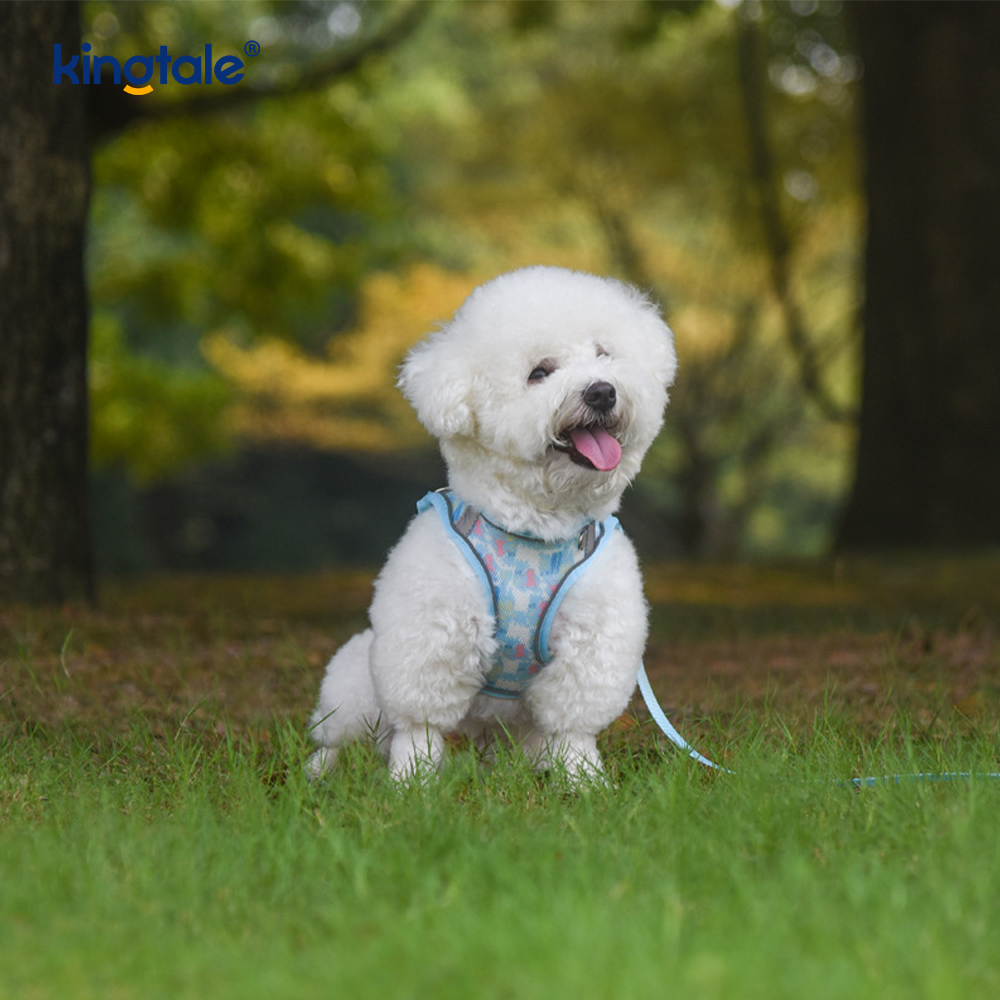 Correa antichoque reflectante para perro, arnés acolchado a la moda, estilo chaleco
